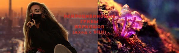 ешки Арсеньев