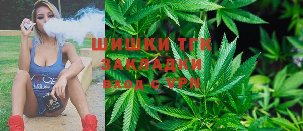 ешки Арсеньев