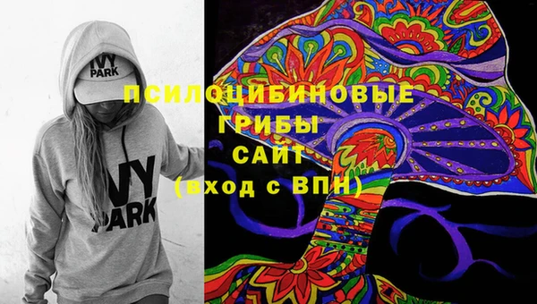 ешки Арсеньев